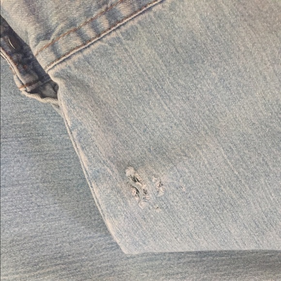 Meet your Posher, Mika - Picture 3 of 3